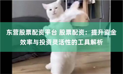 东营股票配资平台 股票配资：提升资金效率与投资灵活性的工具解析